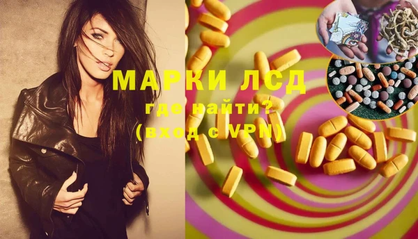 стафф Аркадак